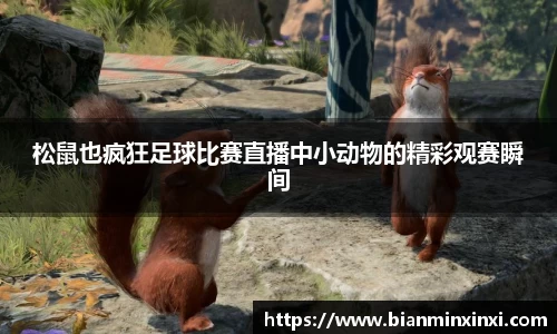 bsports官网 必一运动