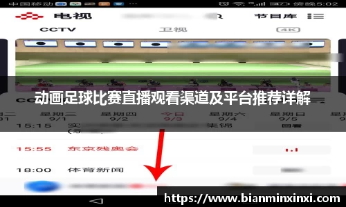 动画足球比赛直播观看渠道及平台推荐详解
