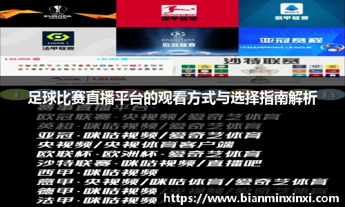 足球比赛直播平台的观看方式与选择指南解析